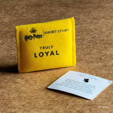 Load image into Gallery viewer, Harry Potter Trinket Pouch - Hufflepuff
