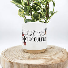 Load image into Gallery viewer, Houseplant in &#39;What The Fucculent&#39; Pun Planter - Sydney Only
