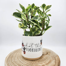 Load image into Gallery viewer, Houseplant in &#39;What The Fucculent&#39; Pun Planter - Sydney Only
