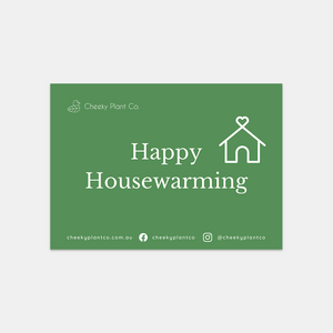 Housewarming - Succulent Hamper / Succulent Gift Box