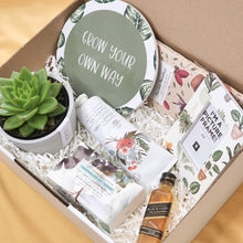 Load image into Gallery viewer, Housewarming - Succulent Hamper / Succulent Gift Box

