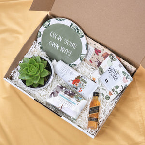 Housewarming - Succulent Hamper / Succulent Gift Box