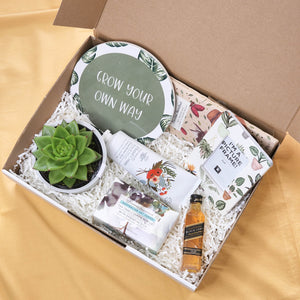 Housewarming - Succulent Hamper / Succulent Gift Box - Sydney Only