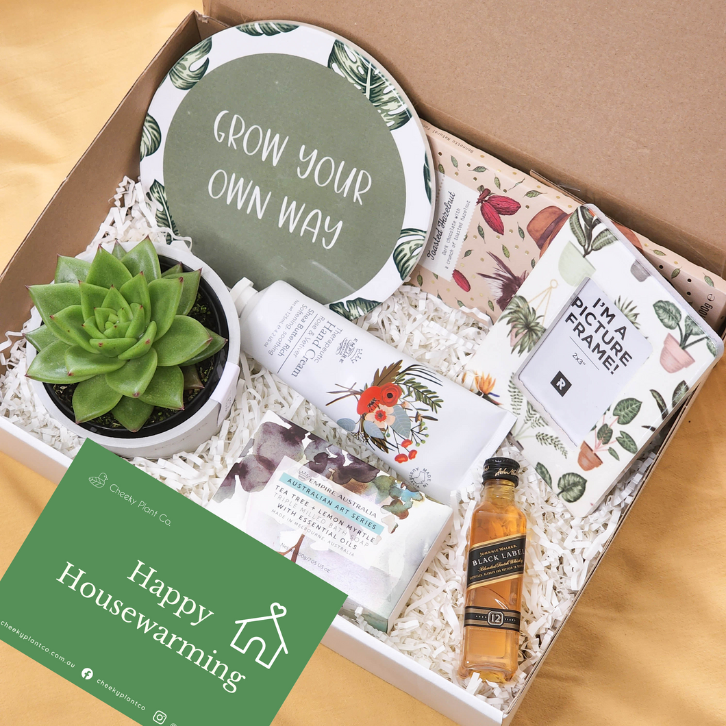 Housewarming - Succulent Hamper / Succulent Gift Box