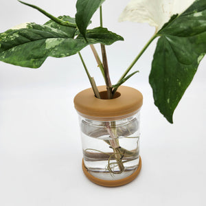 Hydro Plant Pot Vase / Propagation Vase - 12.8x9cm