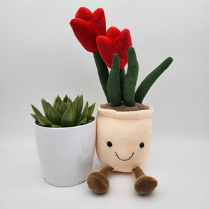 I Love You - Succulent & Red Tulip Plushie Gift - Sydney Only