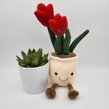 Load image into Gallery viewer, I Love You - Succulent &amp; Red Tulip Plushie Gift - Sydney Only
