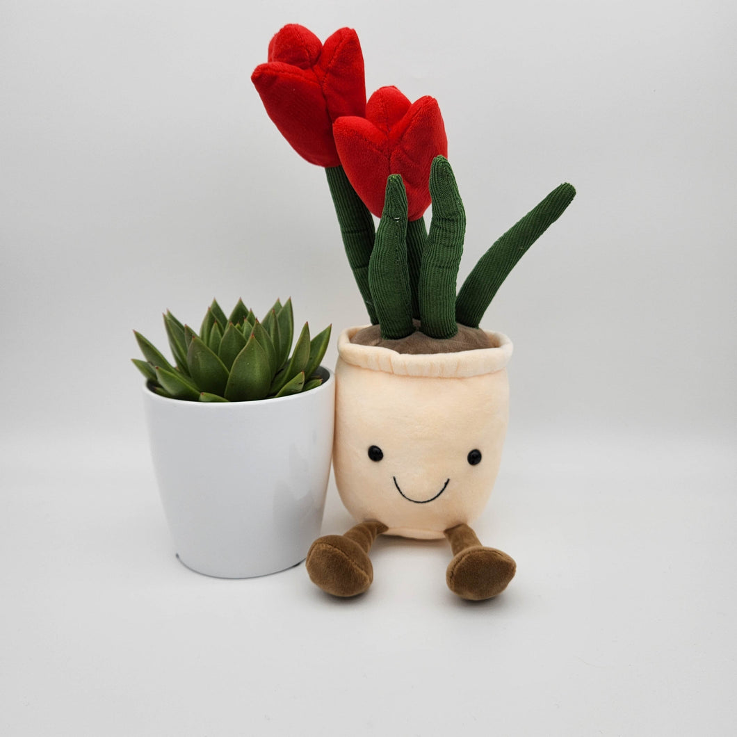 I Love You - Succulent & Red Tulip Plushie Gift - Sydney Only