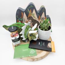 Load image into Gallery viewer, Kids Dinosaur Succulent Gift Hamper - Sydney Only

