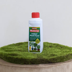 Maxicrop Indoor Plant Food Concentrate 250ml