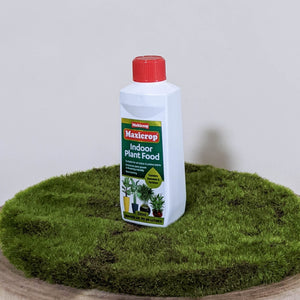 Maxicrop Indoor Plant Food Concentrate 250ml