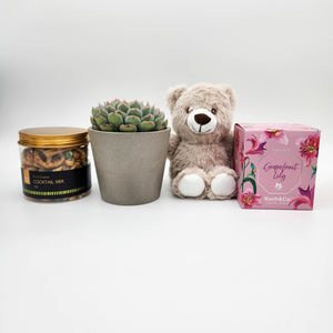 Memorial Gift Hamper Box with Succulent