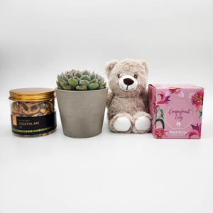 Memorial Gift Hamper Box with Succulent