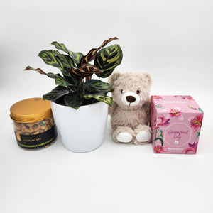 Memorial Gift Hamper with Assorted Houseplant - Sydney Only