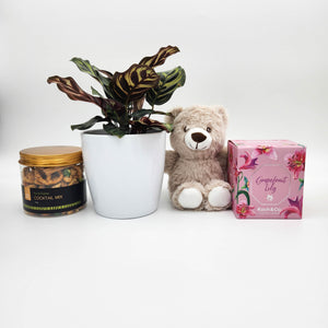 Memorial Gift Hamper with Assorted Houseplant - Sydney Only