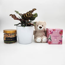 Load image into Gallery viewer, Memorial Gift Hamper with Assorted Houseplant - Sydney Only
