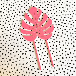 Monstera Plant Climber - Large