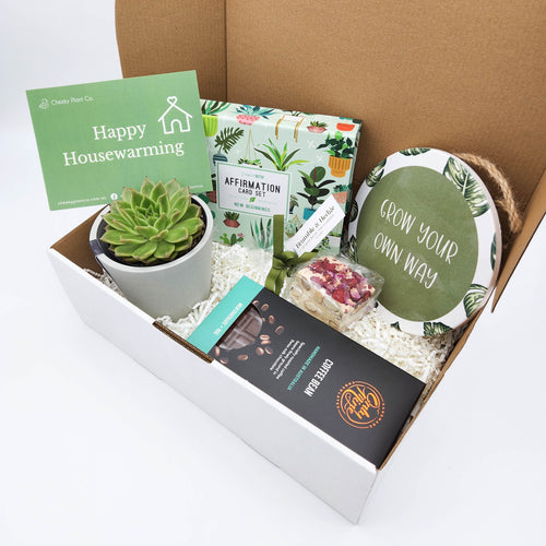 New Home - Succulent Hamper Gift Box