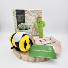 Load image into Gallery viewer, Newborn Succulent Gift Hamper - Sydney Only
