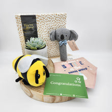 Load image into Gallery viewer, Newborn Succulent Gift Hamper - Sydney Only
