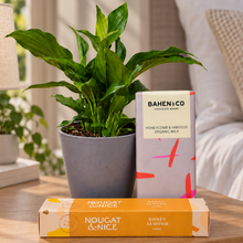 Load image into Gallery viewer, Peace Lily Condolence Gift Box
