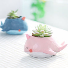 Load image into Gallery viewer, Pink Whale - Resin Pot - 14.5x10x7.5cm
