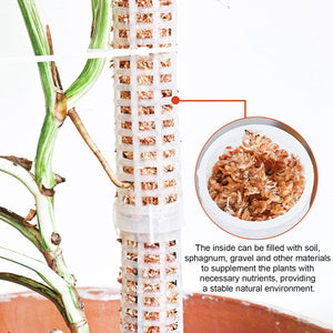 Plant Climbing Stick / Sphagnum Moss Pole / Plant Support - 26x3.5cm