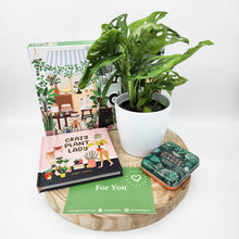 Load image into Gallery viewer, Plant Lovers Fun Gift Hamper - Sydney Only

