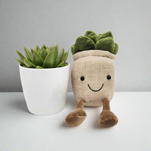 Load image into Gallery viewer, Plant Toy in Brown &amp; Succulent Gift - Sydney Only
