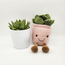 Load image into Gallery viewer, Plant Toy in Pink &amp; Succulent Gift - Sydney Only
