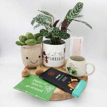 Load image into Gallery viewer, Planty of Love - Plant Gift Hamper - Sydney Only
