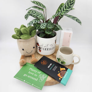 Planty of Love - Plant Gift Hamper - Sydney Only