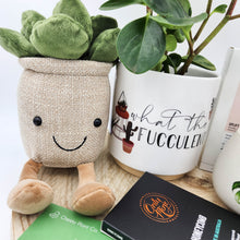 Load image into Gallery viewer, Planty of Love - Plant Gift Hamper - Sydney Only
