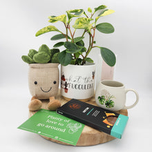 Load image into Gallery viewer, Planty of Love - Plant Gift Hamper - Sydney Only
