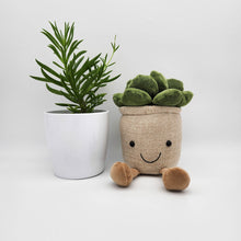 Load image into Gallery viewer, Assorted Potted Plant and Plant Plushie Gift - Sydney Only
