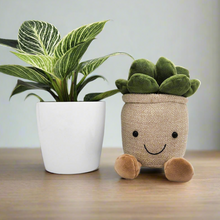 Load image into Gallery viewer, Potted Plant and Plant Plushie Gift - 120mm - Sydney Only
