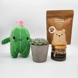 Recovery Gift Plant Hamper Box with Succulent