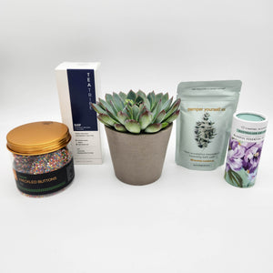 Relax Pamper Hamper Gift Box with Succulent