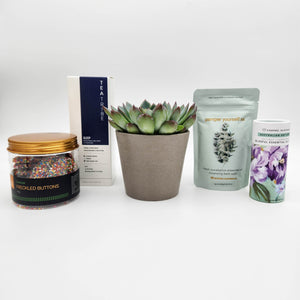 Relax Pamper Hamper Gift Box with Succulent