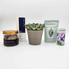 Load image into Gallery viewer, Relax Pamper Hamper Gift Box with Succulent
