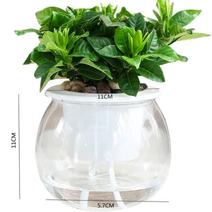 Round Self Watering Planter Pot - 11x5.7x11cm