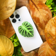 Load image into Gallery viewer, Phone Popsocket / Phone Grip - Philodendron Leaf
