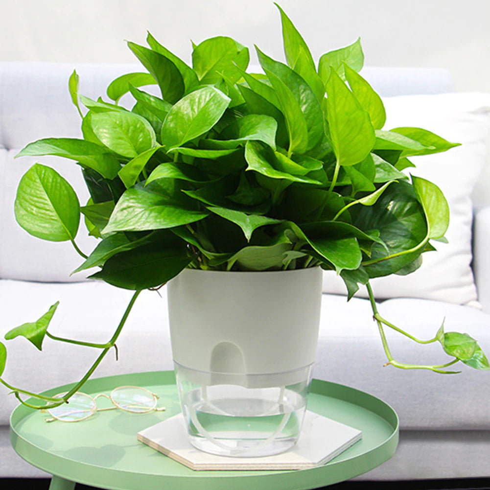 water pots for plants Self Watering Plant Pot (15.3x18.2cmH)