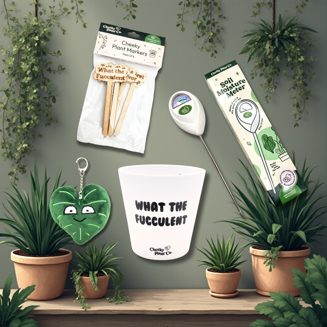 Happy Houseplants Gift For Plant Lovers Bundle Cheeky Plant Co