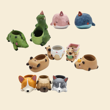 Load image into Gallery viewer, Amazing Animals - Pot Bundle
