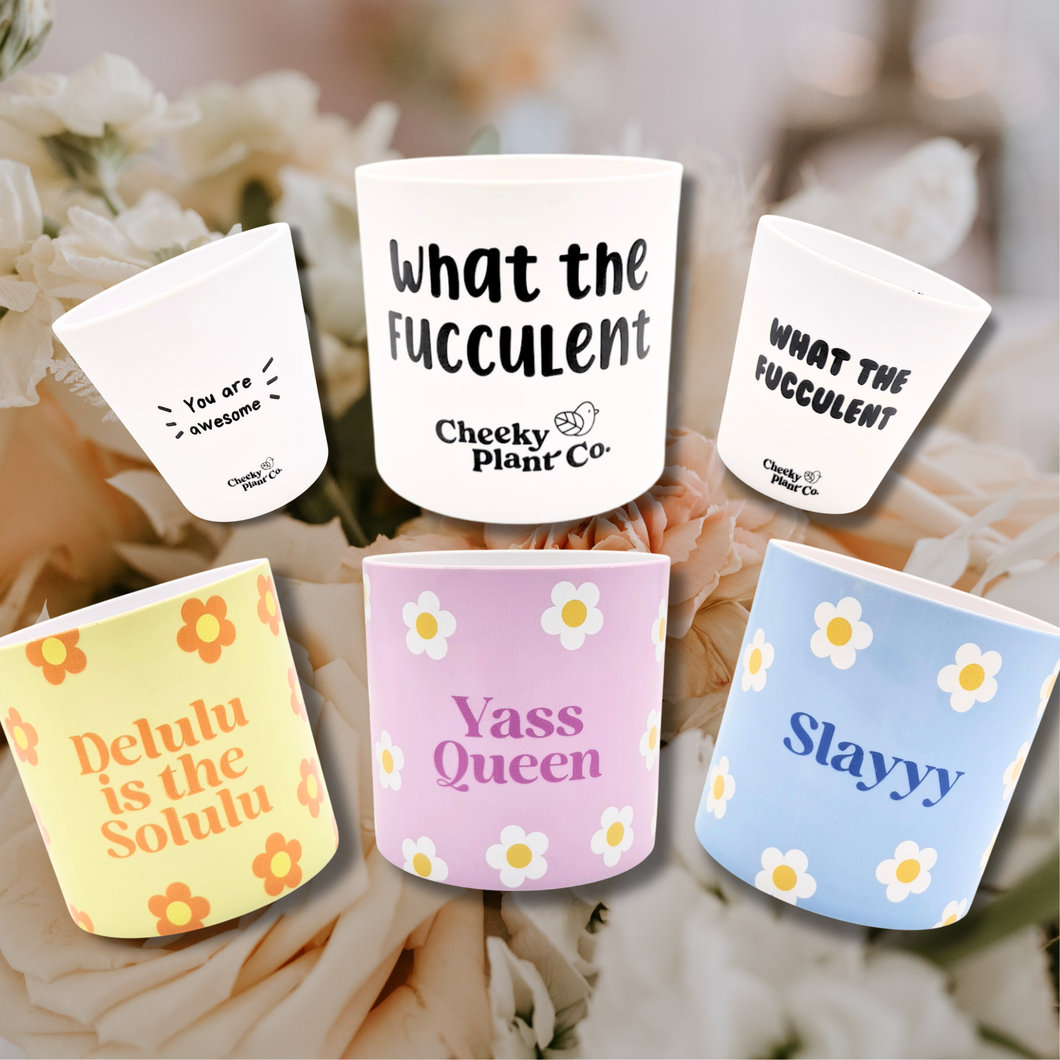 Blooming 6  - Pot Bundle