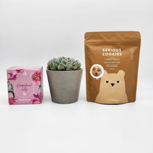 Load image into Gallery viewer, Sorry For Your Loss Gift Hamper Box with Succulent
