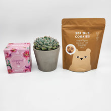 Load image into Gallery viewer, Sorry For Your Loss Gift Hamper Box with Succulent
