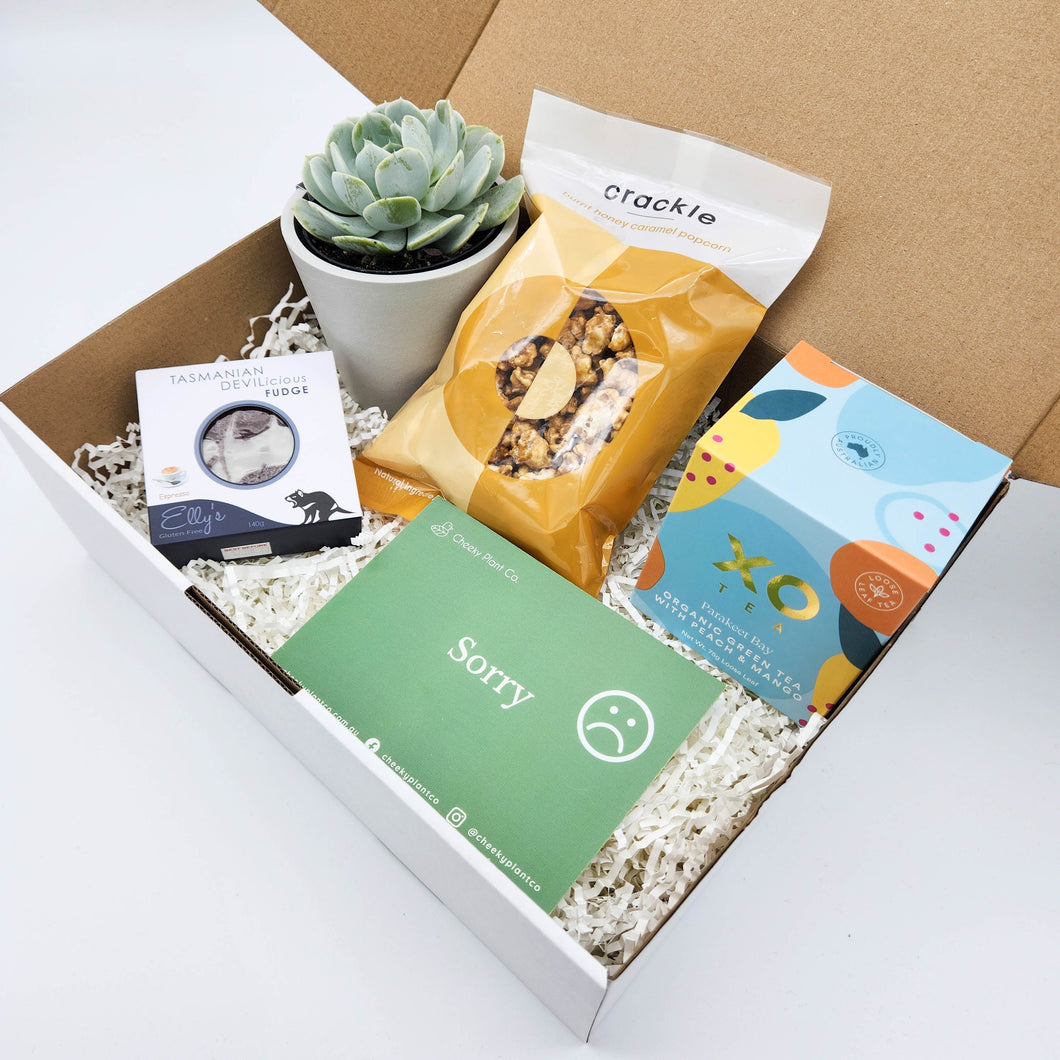 Sorry - Succulent Hamper Gift Box
