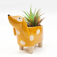 Load image into Gallery viewer, Spotty Sausage Dog Planter
